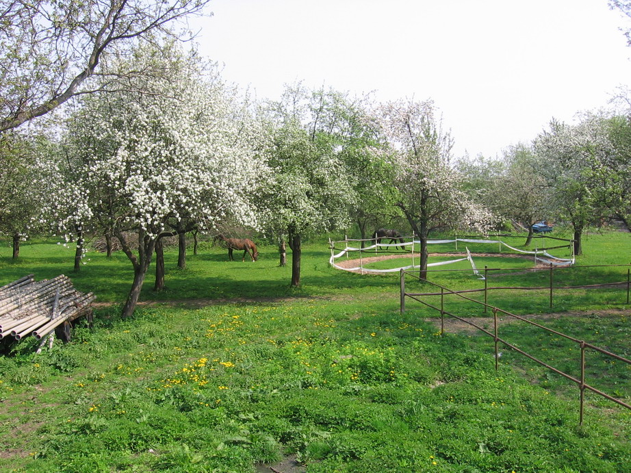 IMG_4631_resize.JPG