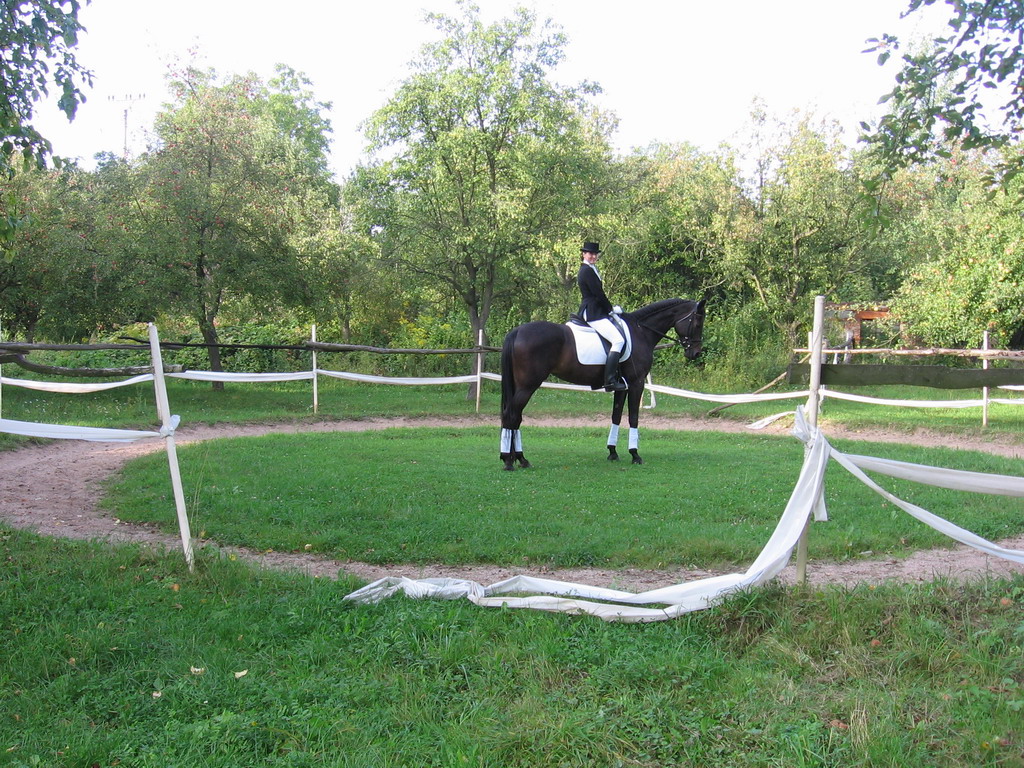 IMG_0040_resize.JPG
